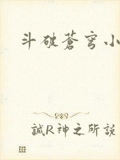斗破苍穹小说封面