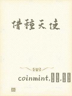 借种天使封面