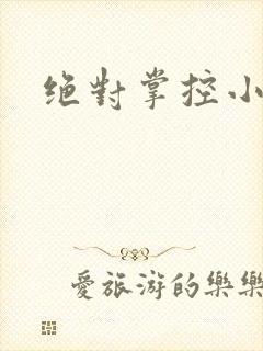 绝对掌控小说