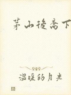 茅山后裔下载封面