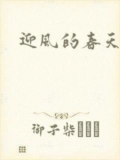 迎风的春天封面