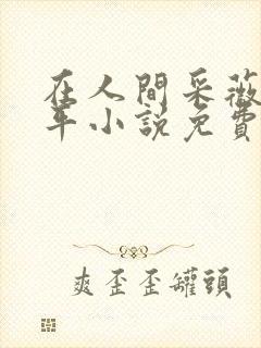 在人间采薇陆三平小说免费阅读封面