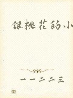 银桃花的小说封面