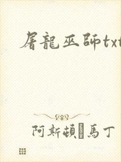 屠龙巫师txt