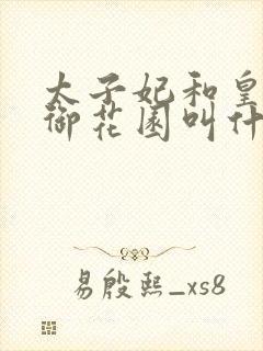 太子妃和皇帝在御花园叫什么小说封面