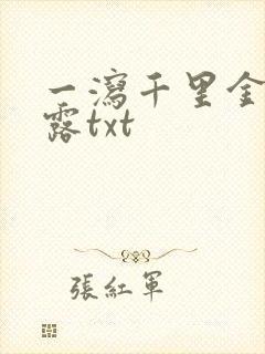 一泻千里金银花露txt