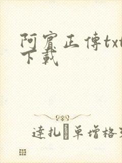 阿宾正传txt下载