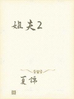 姐夫2