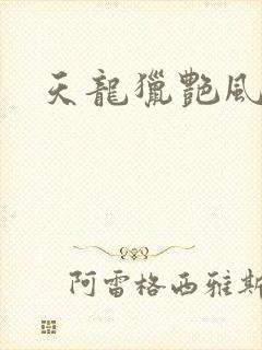 天龙猎艳风流