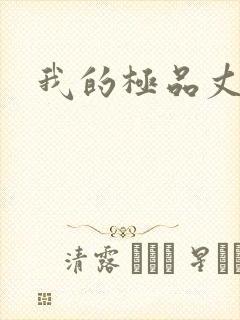 我的极品丈母娘