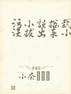 污小说总裁整夜没拔出来小说在线阅读封面