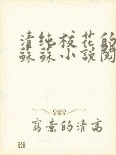 清纯校花的日常苏苏小说阅读全文