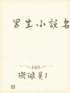 男生小说名字