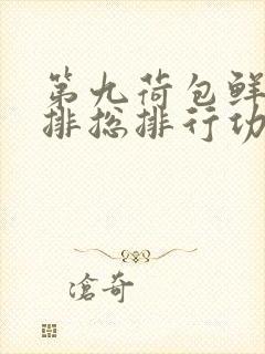 第九荷包鲜辣肉排总排行功能介绍