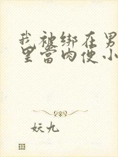 我被绑在男公厕里当肉便小说封面