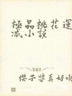 极品桃花运未删减小说