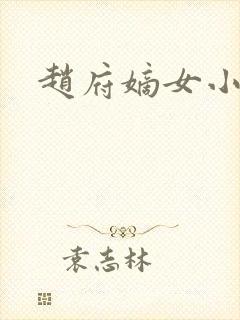 赵府嫡女小说封面