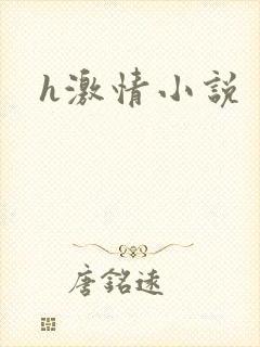 h激情小说