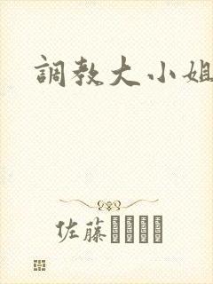 调教大小姐封面