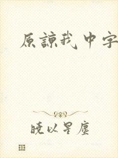 原谅我中字