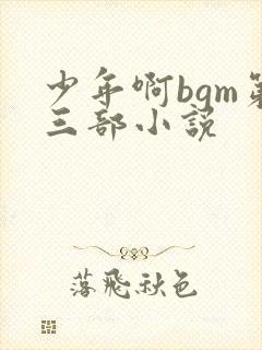 少年啊bgm第三部小说