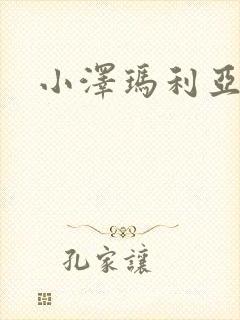 小泽玛利亚作品封面