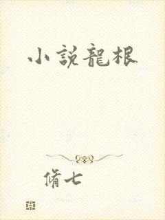 小说龙根