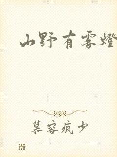 山野有雾灯封面