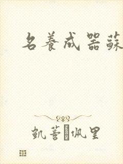 名养成器苏沫沫