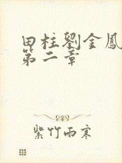 田柱刘金凤小说第二章封面