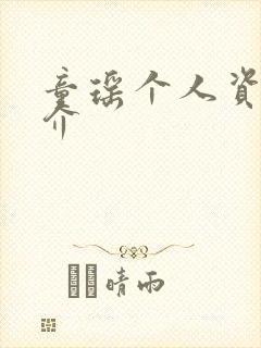 童瑶个人资料简介