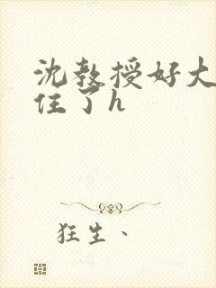 沈教授好大含不住了h
