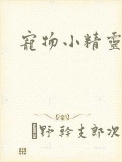 宠物小精灵漫画