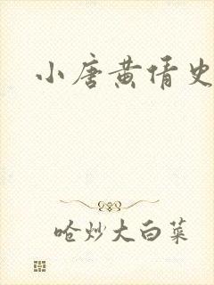 小唐黄倩史