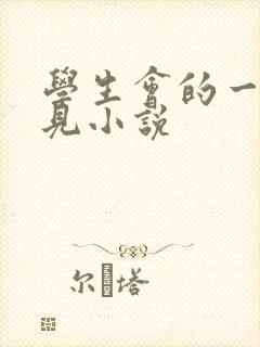 学生会的一己之见小说