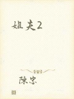 姐夫2