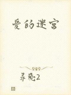 爱的迷宫封面