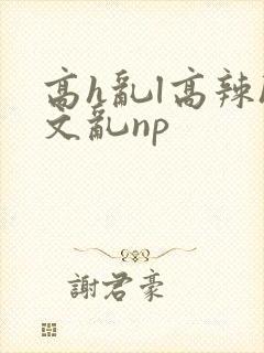 高h乱l高辣h文乱np