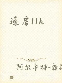 通房11h