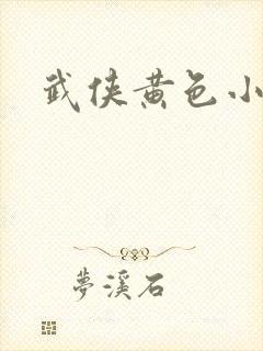 武侠黄色小说封面