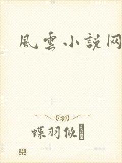 风云小说网封面