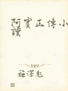 阿宾正传小说在读封面