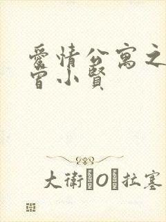 爱情公寓之极品曾小贤