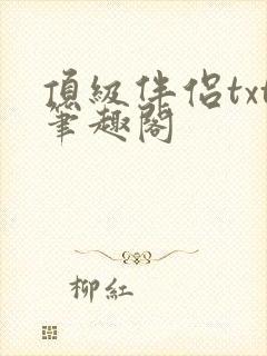 顶级伴侣txt笔趣阁