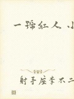 一号红人 小说