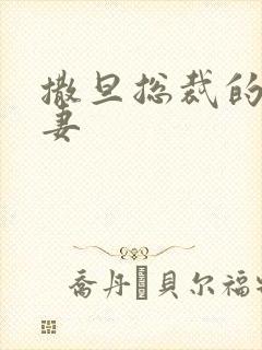 撒旦总裁的下堂妻