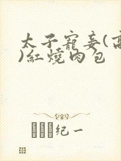 太子宠妾(高肉)红烧肉包