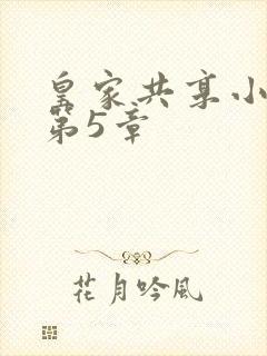 皇家共享小公主第5章