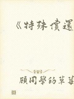 《特殊偿还》封面