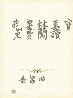 我是林喜宝小说免费阅读封面